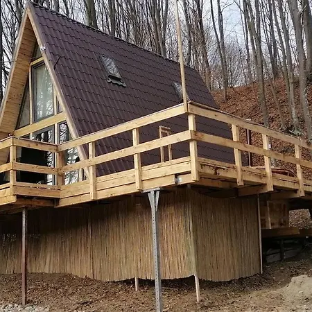 Cabanaaframe Intreaga Proprietate Curtea De Arges