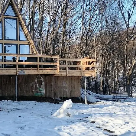 Cabanaaframe Intreaga Proprietate Curtea De Arges