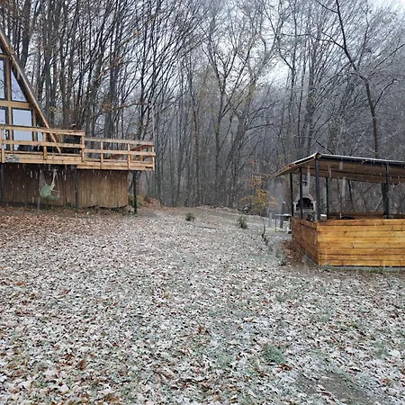 Cabanaaframe Intreaga Proprietate Curtea De Arges